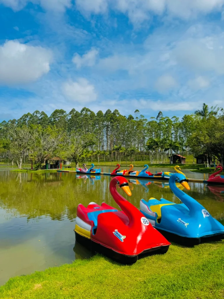 pedalinhos do parque aquatico tironi