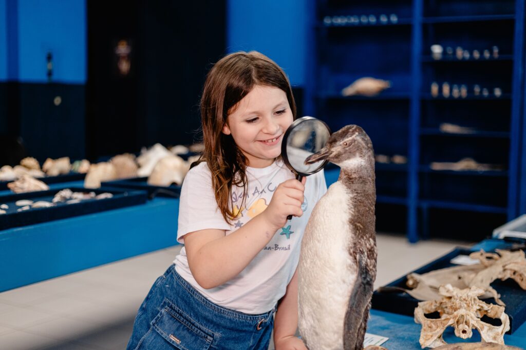 Museu Foto Dales Hoeckesfeld 0124 e15ffb49f5