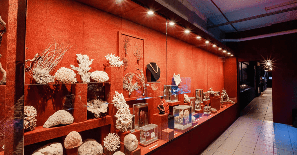 ala vermelha museu univali 1