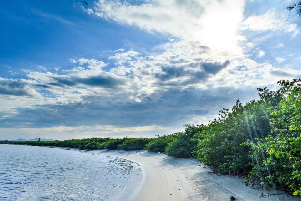 praia da barra do saí, em itapoá