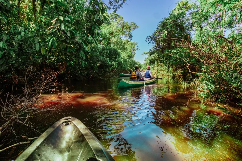 canoagem reserva volta velha