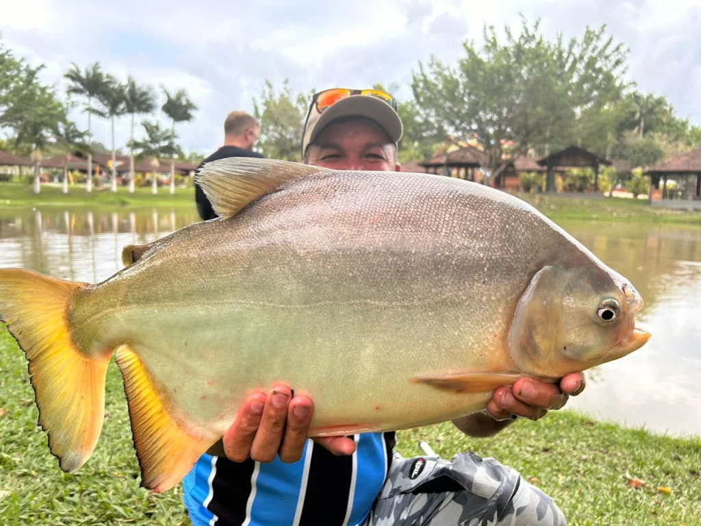 pesca no parque aquatico tironi