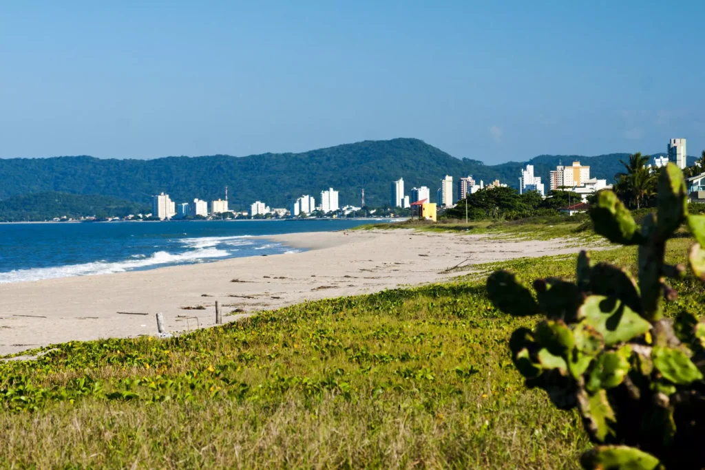 ponta do jacques credito marcelo sokkal secretaria de turismo de picarras divulgacao scaled 1