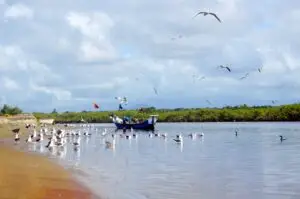 Barra do Saí, em Itapoá: o encontro do rio com o mar