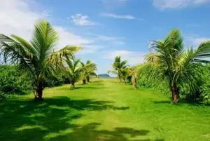 Praia das Palmeiras, em Piçarras: natureza preservada e calçadão