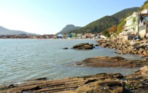 Praia do Pântano do Sul: tradição pesqueira e natureza