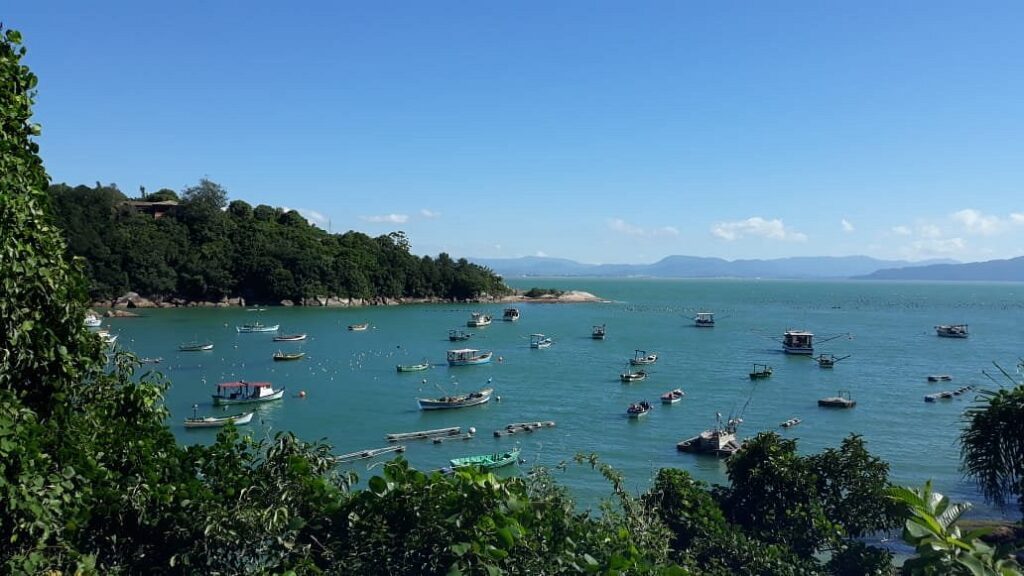 Praia de Ganchos de Fora