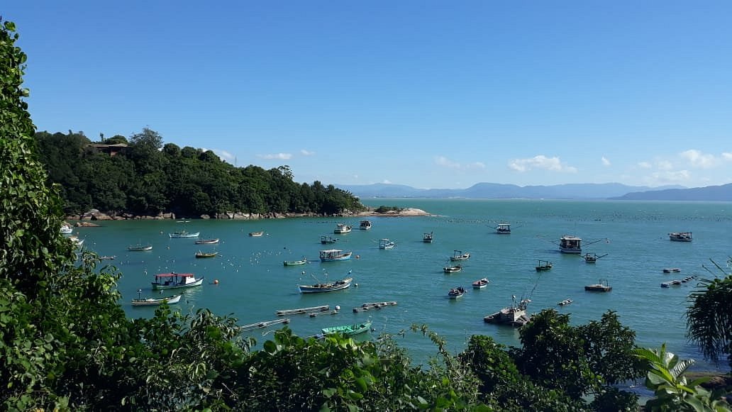 Praia de Ganchos de Fora
