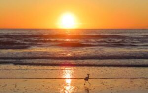 Praia da Barra da Lagoa: mar calmo, vila de pescadores e natureza