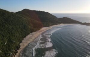 Praia da Galheta: natureza preservada e trilhas em Florianópolis