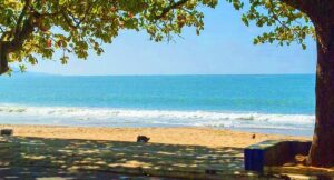 Praia de Cabeçudas em Itajaí: tradição e mar calmo