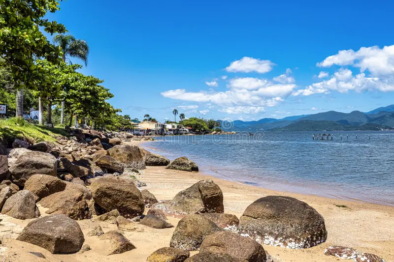 Praia do Ribeirão da Ilha: história açoriana e gastronomia 2 praia de ribeirao da ilha em florianopolis santa catarina brasil um dos principais turistas destino na regiao sul 271834882