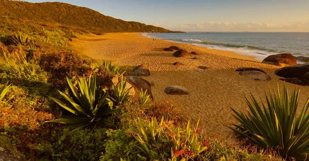 Praia de Taquarinhas