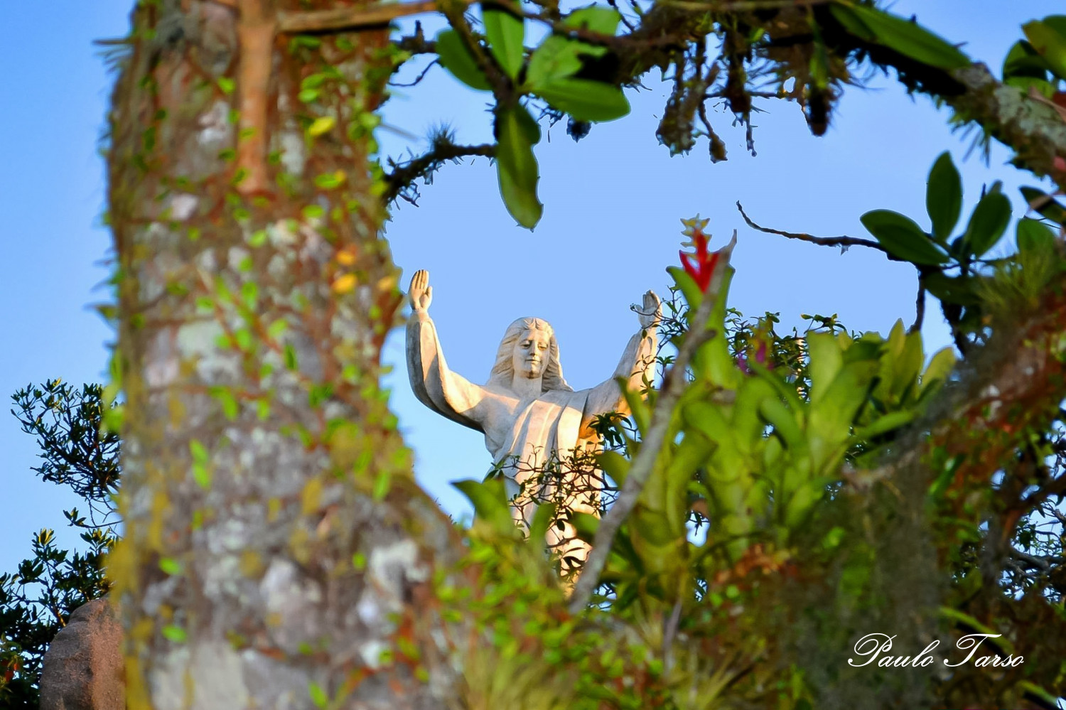 Mirante do Morro da Glória