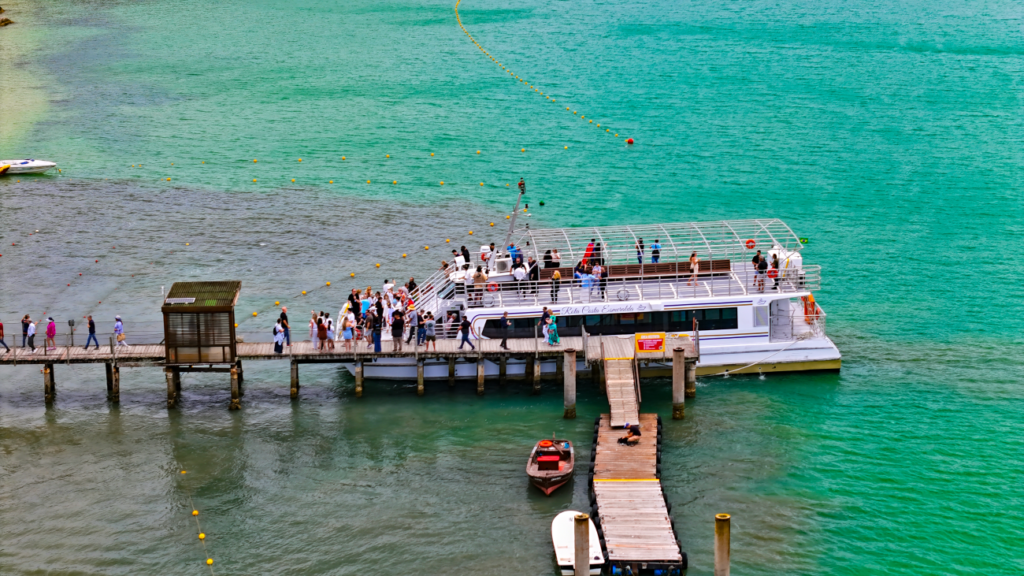 Barco Catamarã
