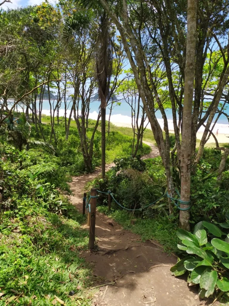 trilha praia grossa